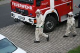 IMG_5342.JPG