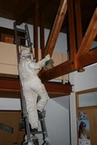 IMG_5348.JPG