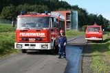 IMG_5379.JPG