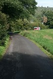 IMG_5381.JPG