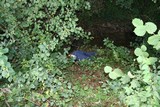 IMG_5384.JPG