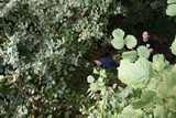 IMG_5387.JPG
