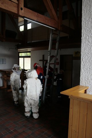 wespen_j_heim_kassel1.jpg