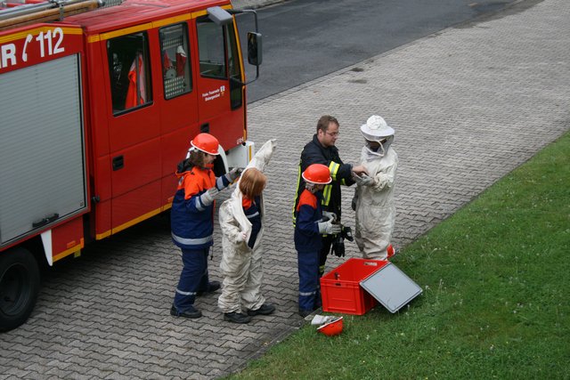 wespen_j_heim_kassel4.jpg